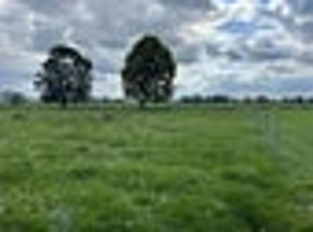 Land for sale in Waikato