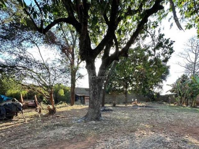Sítio e chácara venda em Região Imediata de Araraquara, Araraquara