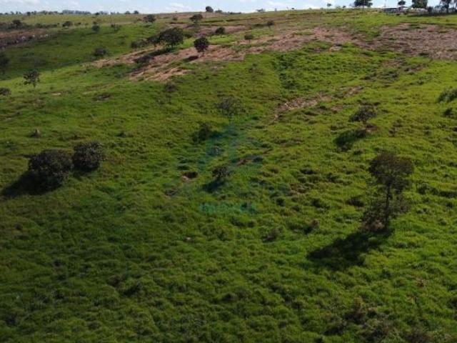 Sítio e chácara venda em Região Geográfica Imediata de Dores do Indaiá, Dores do Indaiá