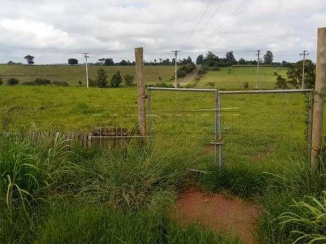 Sítio e chácara venda em Região Imediata de São Carlos, São Carlos