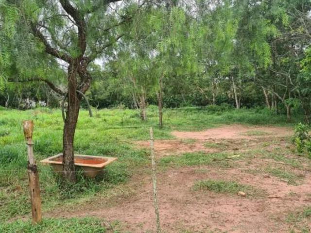 Sítio e chácara venda em Região Imediata de São Carlos, São Carlos