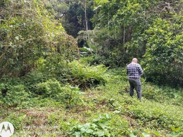 Sítio e chácara venda em Barnabés, Juquitiba