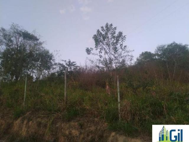 Sítio e chácara venda em São Sebastião, Bom Jesus do Amparo