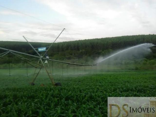 Sítio e chácara venda em Região Imediata de Bauru, Avaí