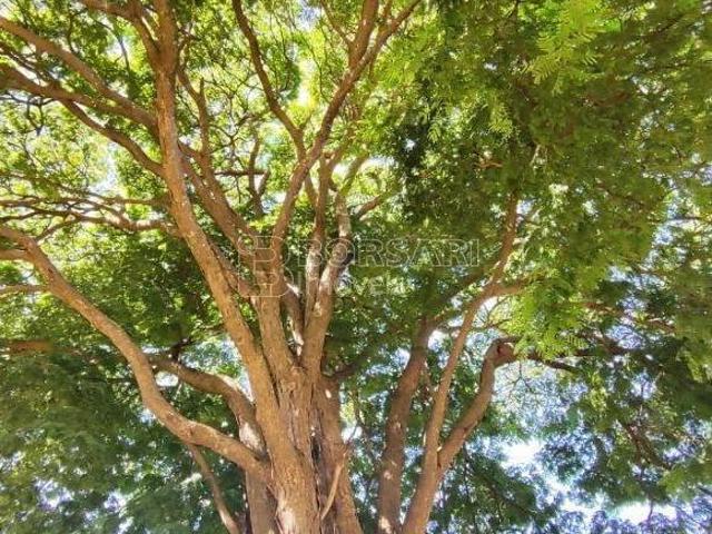 Sítio e chácara venda em Região Imediata de Araraquara, Araraquara