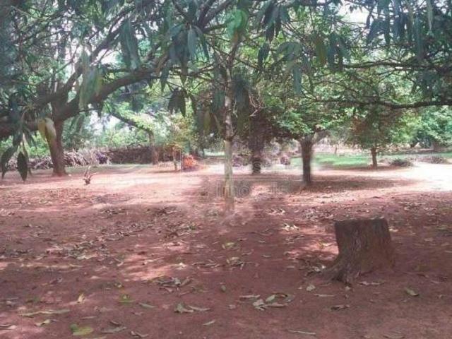 Sítio e chácara venda em Região Imediata de Araraquara, Araraquara