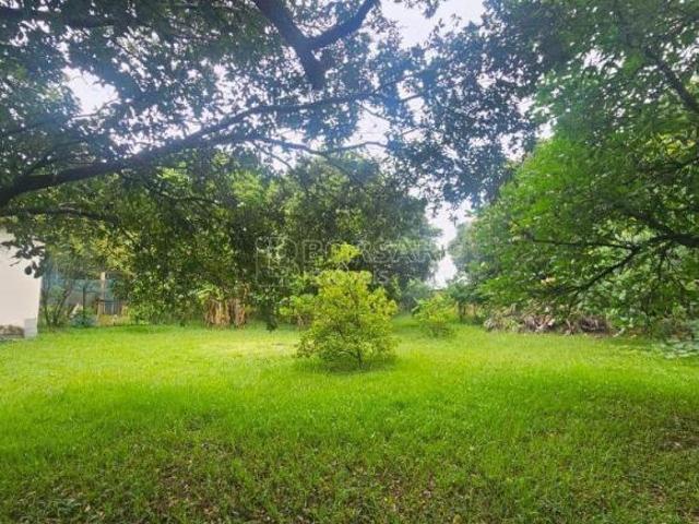 Sítio e chácara venda em Região Imediata de Araraquara, Araraquara