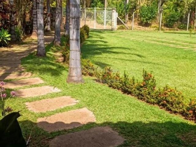Sítio e chácara venda em Região Imediata de São José do Rio Preto, Região Metropolitana de São José do Rio Preto