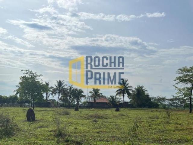 Sítio e chácara venda em Região Imediata de Andradina, Ilha Solteira