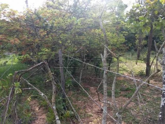 Sítio e chácara venda em Região Imediata de São Carlos, São Carlos