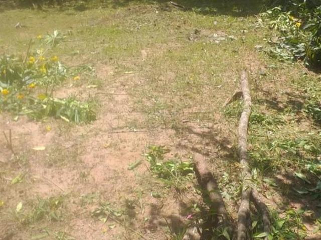 Sítio e chácara venda em Região Imediata de São Carlos, São Carlos