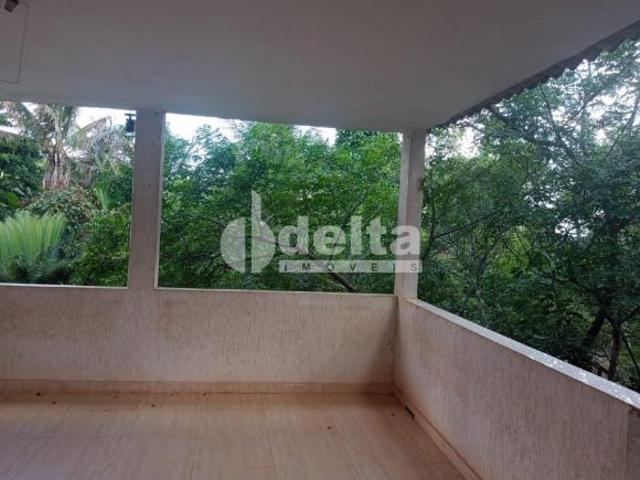 Sítio e chácara venda em Setor Sul, Uberlândia