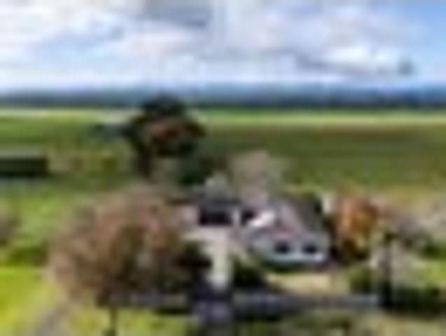 House for sale in Ngatea