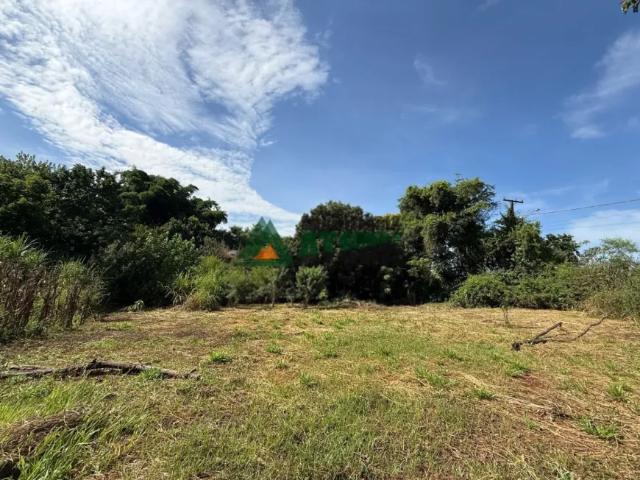 Fazenda venda em Região Geográfica Imediata de Londrina, Londrina