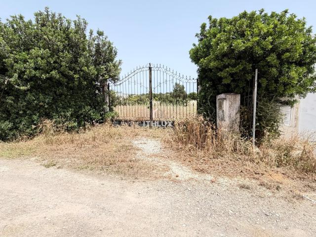 Terreno venda em Olhão, Faro