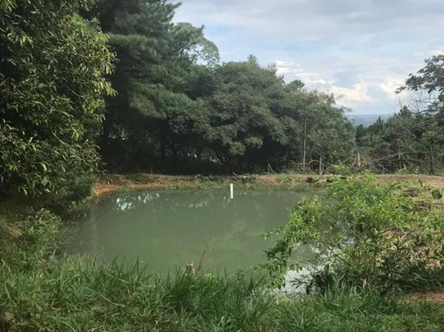 Fazenda venda em Região Imediata de Sorocaba, Região Metropolitana de Sorocaba