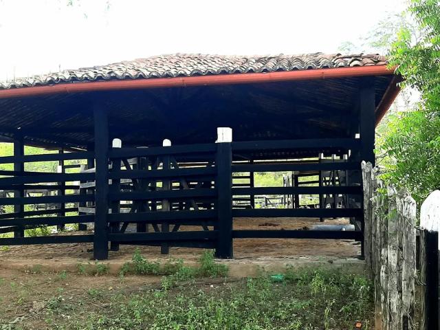 Fazenda venda em Jequié, Região Nordeste