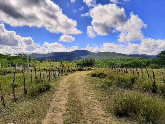 Fazenda venda em Jequié, Região Nordeste