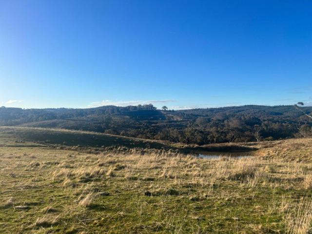 Land for sale in Newbridge, New South Wales