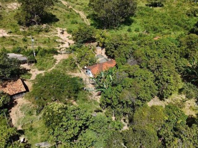 Sítio e chácara venda em Região Geográfica Imediata de Dores do Indaiá, Dores do Indaiá