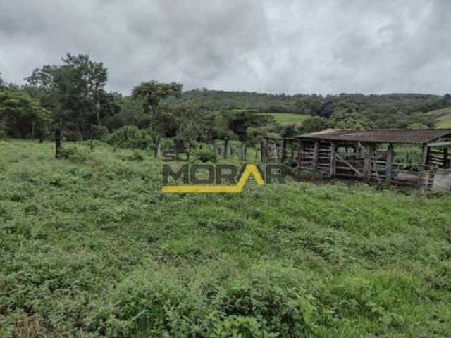 Sítio e chácara venda em Região Geográfica Imediata de Sete Lagoas, Fortuna de Minas