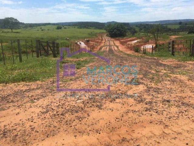 Sítio e chácara venda em Região Imediata de Marília, Marília