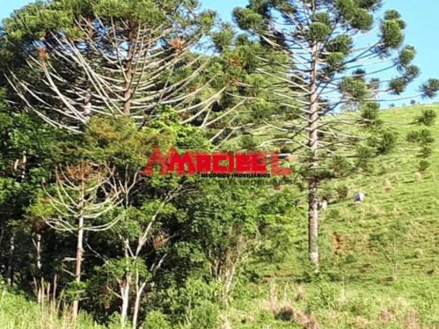 Sítio e chácara venda em Região Geográfica Imediata de São Lourenço, Virgínia