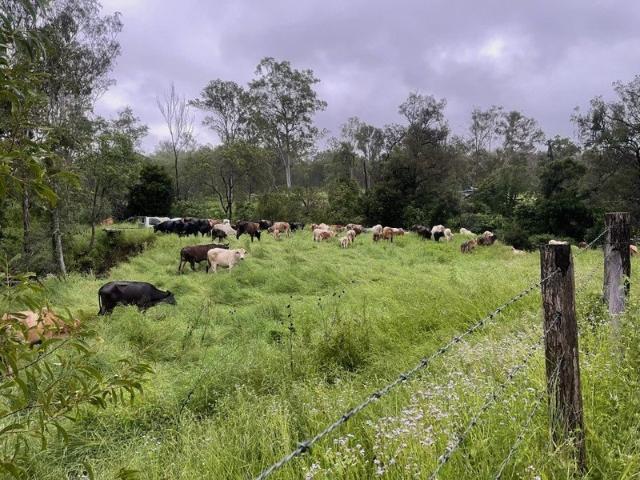 Cottage for sale in Mount Perry, Queensland