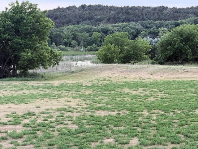 Land for sale in Verdigre, Knox County