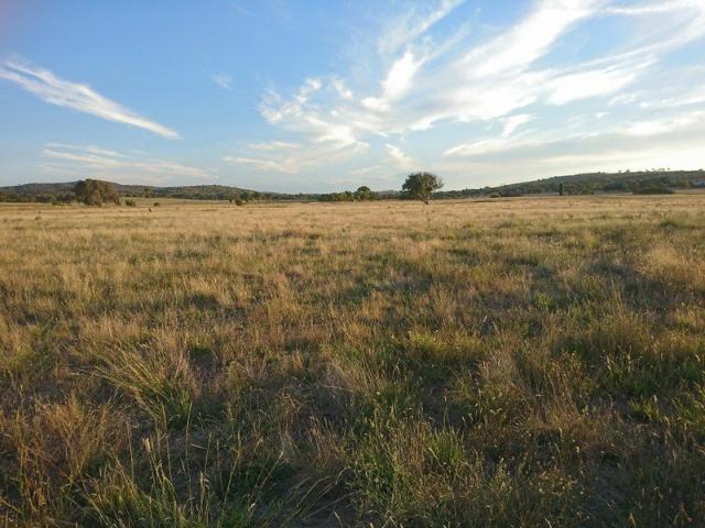 Property for sale in Dalton, New South Wales
