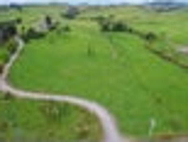 Land for sale in Waikato