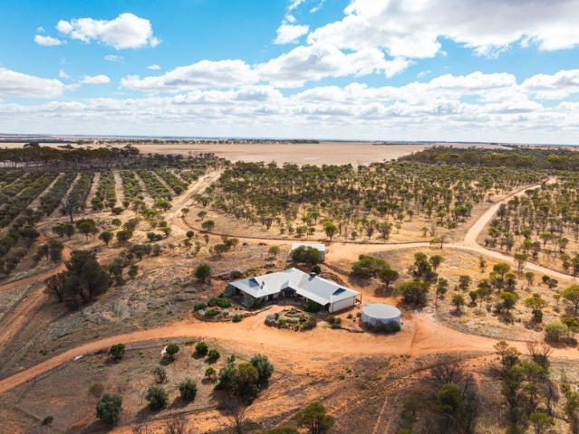 House for rent in Cramphorne, Western Australia