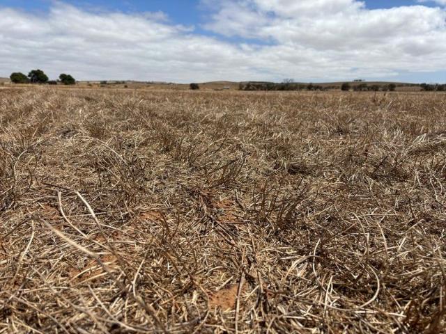 Land for sale in Tumby Bay, South Australia