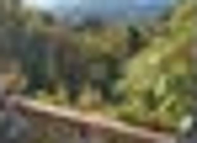 Land for sale in West Coast