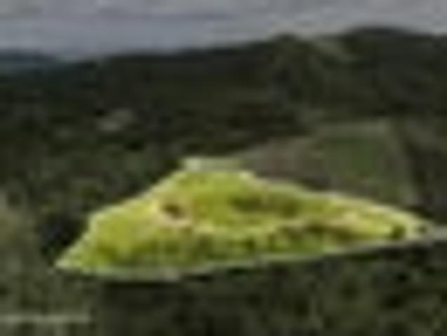 Land for sale in Waikato
