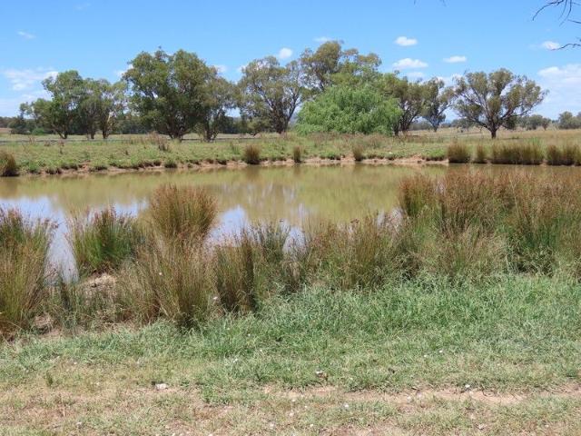 Cottage for sale in Tamworth Regional Council, New South Wales