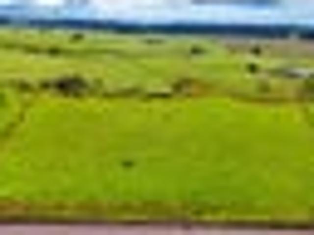 Land for sale in Karetu, Northland