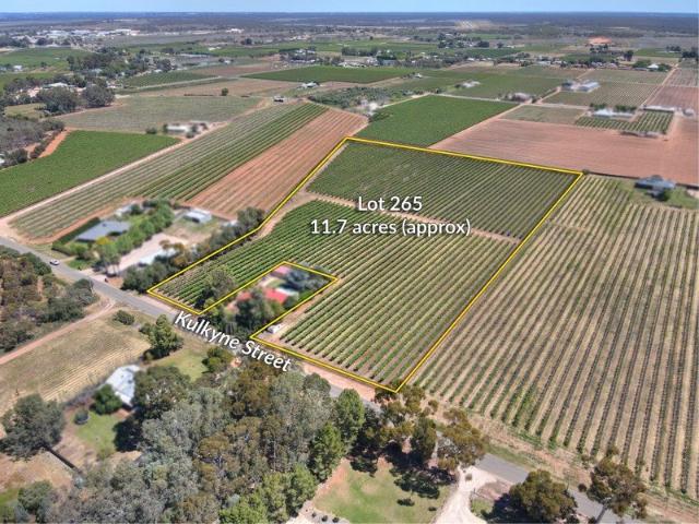 Land for sale in Renmark West, Renmark Paringa Council