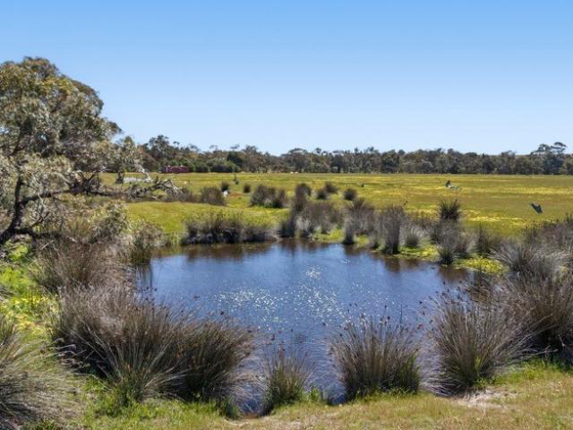 Land for sale in Black Range, Shire of Northern Grampians