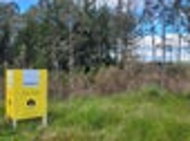 Land for sale in Ohai, Wallace Takitimu Community