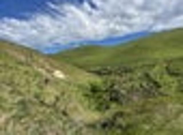 Land for sale in Waiau, Canterbury