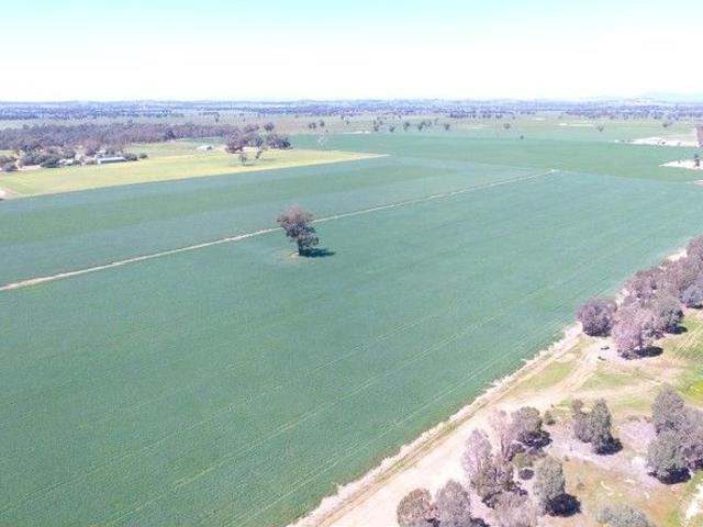 Property for sale in Henty, New South Wales