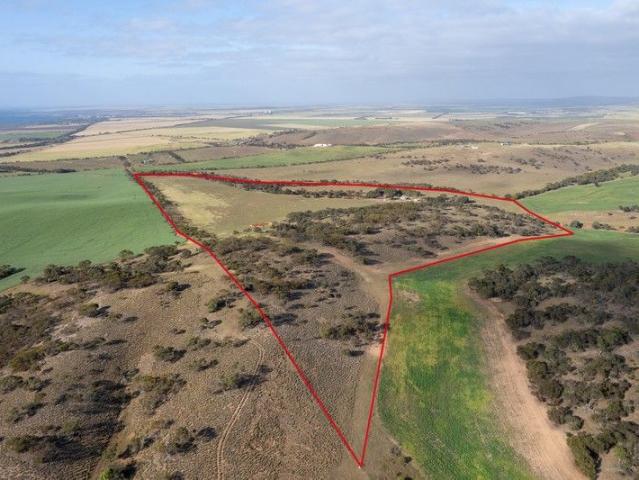 Cottage for sale in Lipson, South Australia