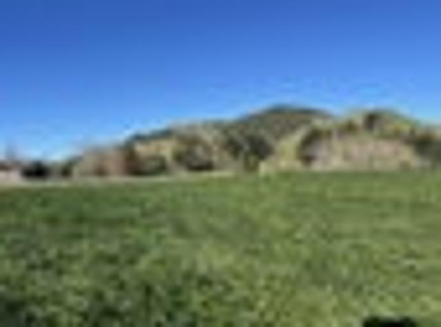 Land for sale in Te Awamutu, Waikato