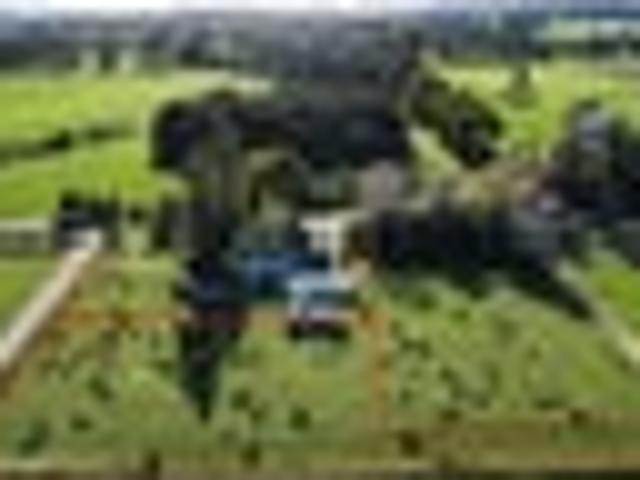 Land for sale in Rockville, Tasman