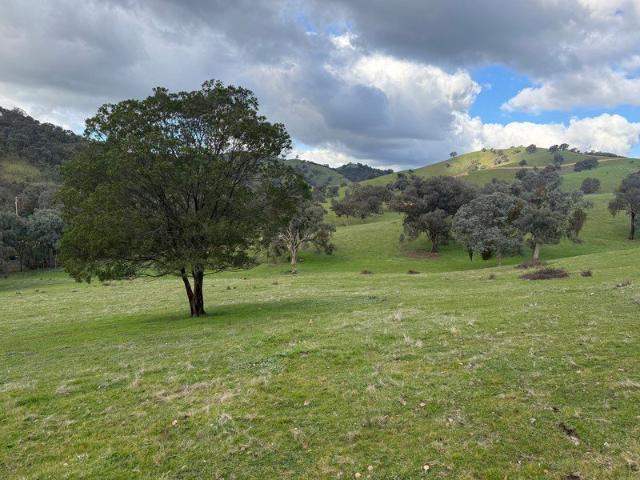 Cottage for sale in Alexandra, Victoria