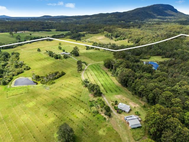 House for sale in Eungai Creek
