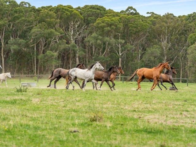Cottage for sale in Manchester Square, New South Wales