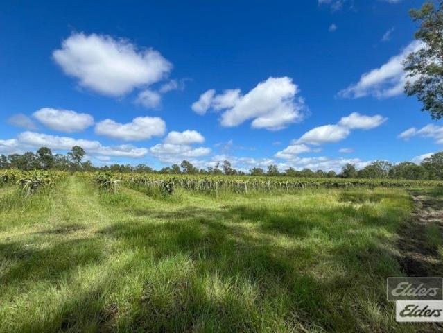 Land for sale in Munna Creek, Queensland