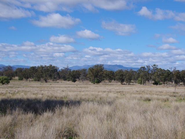 Cottage for sale in Harparary, New South Wales